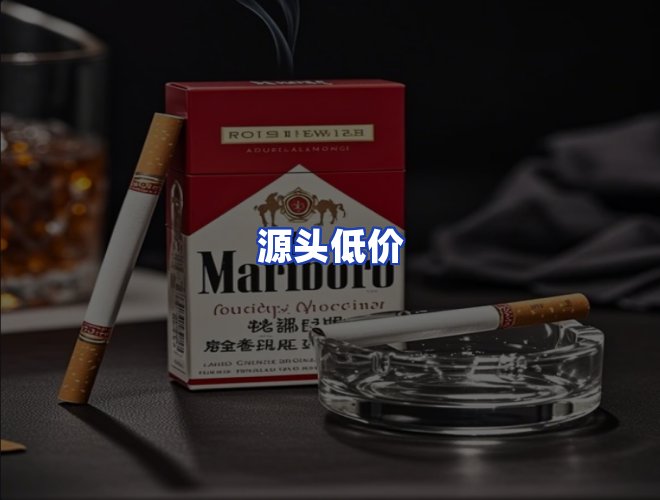 专业团队